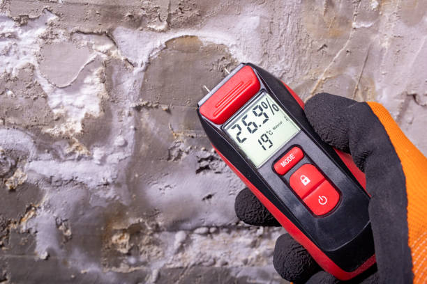 Home Mold Removal in Flying Hills, PA